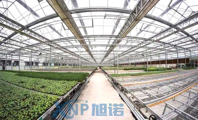 蔬菜温室大棚可以使用猫咪成人在线视频做骨架吗.jpg